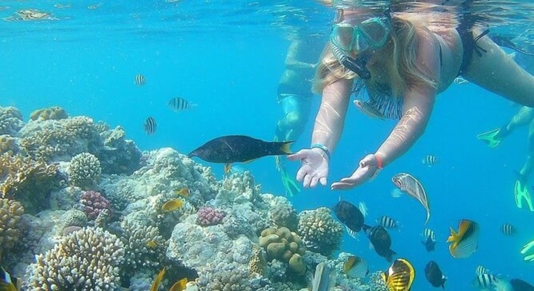 Tour Sharm Snorkeling Day trip from Hurghada with Lunch Egypt — #2