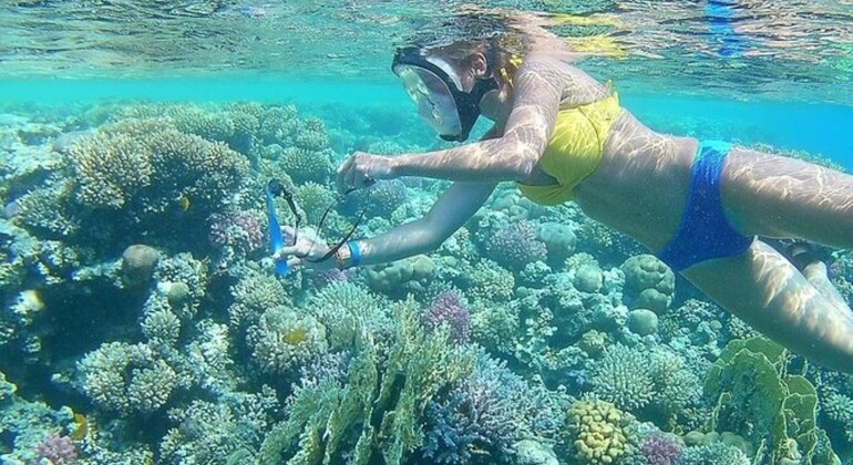 Tour Sharm Snorkeling Day trip from Hurghada with Lunch Egypt — #3