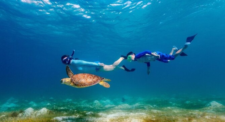 Tour Sharm Snorkeling Day trip from Hurghada with Lunch Egypt — #4