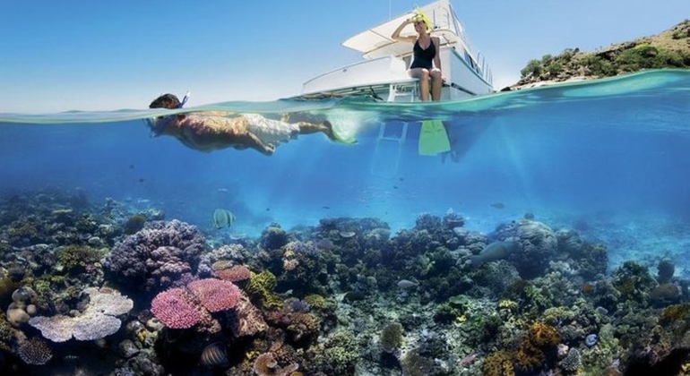 Tour Sharm Snorkeling Day trip from Hurghada with Lunch Egypt — #5