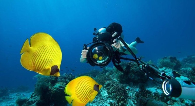 Tour Sharm Snorkeling Day trip from Hurghada with Lunch Egypt — #8