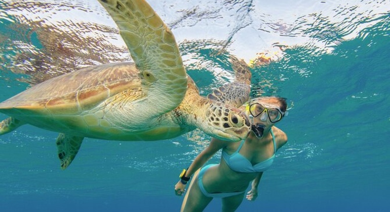 Tour Sharm Snorkeling Day trip from Hurghada with Lunch Egypt — #15