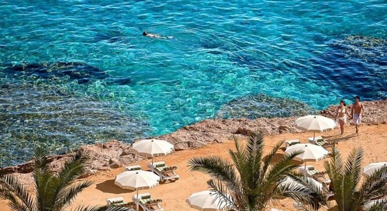 Tour Sharm Snorkeling Day trip from Hurghada with Lunch Egypt — #18