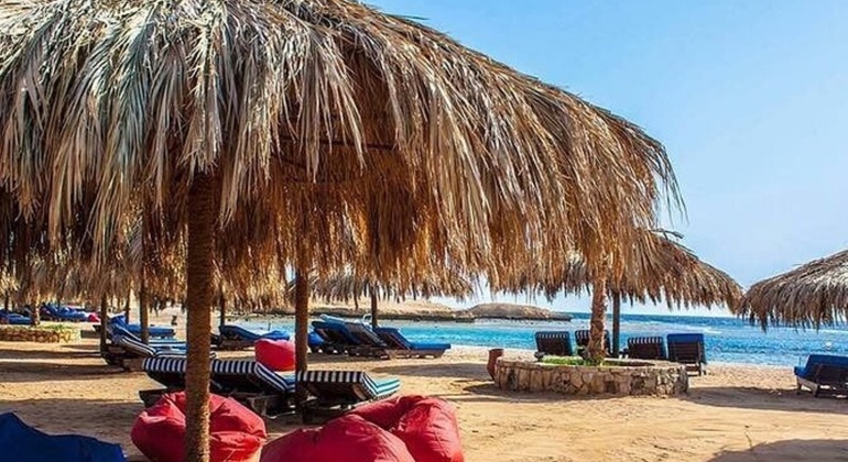 Tour Sharm Snorkeling Day trip from Hurghada with Lunch Egypt — #19