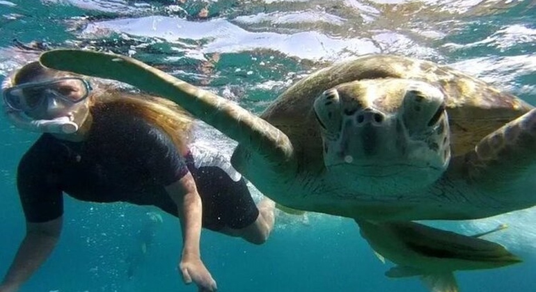 Tour Sharm Snorkeling Day trip from Hurghada with Lunch Egypt — #21