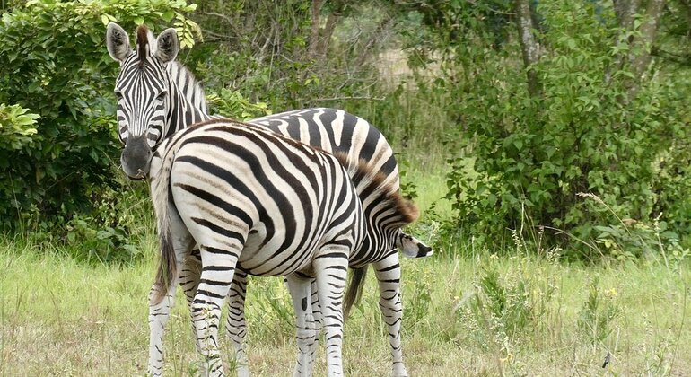 Shai Hills Reserve Free Tour: Accra’s Hidden Eco Paradise Ghana &mdash; #3