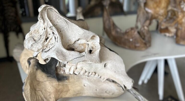 Shai Hills Reserve Free Tour: Accra’s Hidden Eco Paradise Ghana &mdash; #4