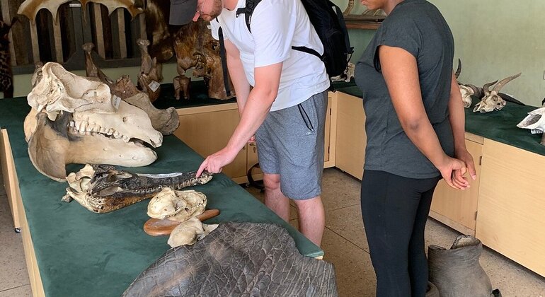 Shai Hills Reserve Free Tour: Accra’s Hidden Eco Paradise Ghana &mdash; #5