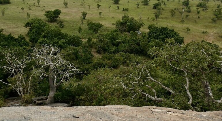 Shai Hills Reserve Free Tour: Accra’s Hidden Eco Paradise Ghana &mdash; #7