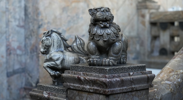 Visita al mercado de Tsukiji a primera hora de la mañana Japón — #6