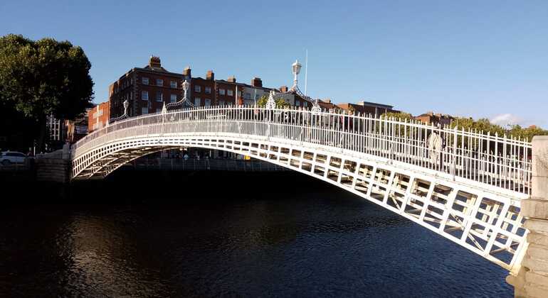 Dublino Tour Completo della Città: della Old Library & Book of Kells Irlanda — #5