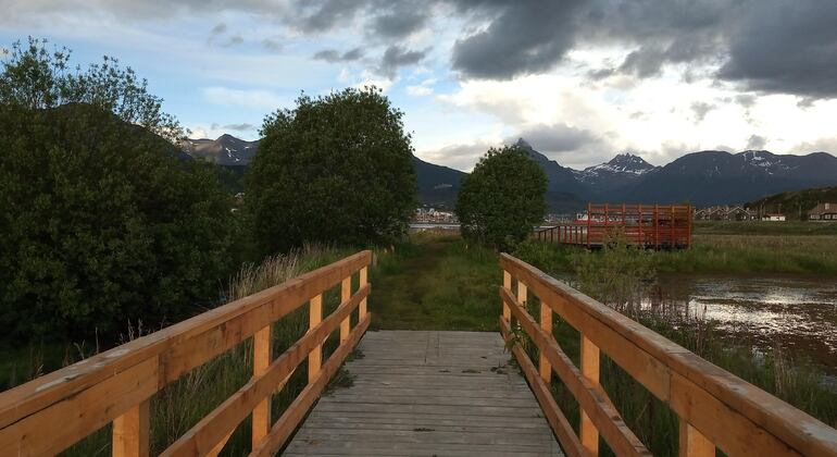 tour-enclosed.bay-ushuaia-es-2