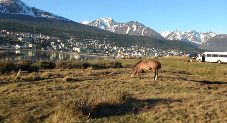 tour-enclosed.bay-ushuaia-es-17