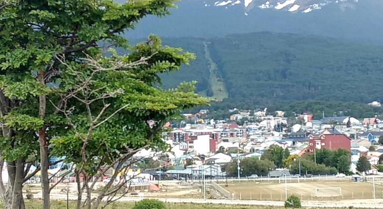 tour-enclosed.bay-ushuaia-es-19