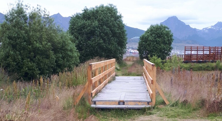 Ushuaia Encerrada Bay Tour, along walkways, viewpoints and trails Argentina — #15
