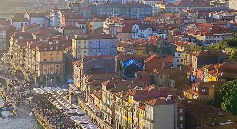 Visite à pied du port historique Portugal — #7