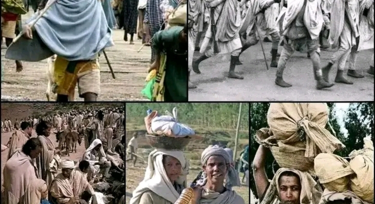 Visite libre d'Addis-Abeba le matin Éthiopie — #2