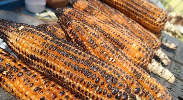 Visite libre d'Addis-Abeba le matin Éthiopie — #4