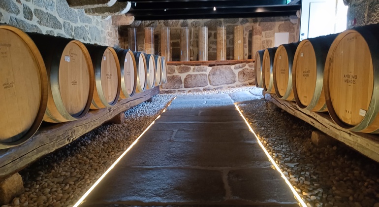 Rota do vinho verde - Tour Privado com Visita a Duas Adegas e Almoço Portugal — #5