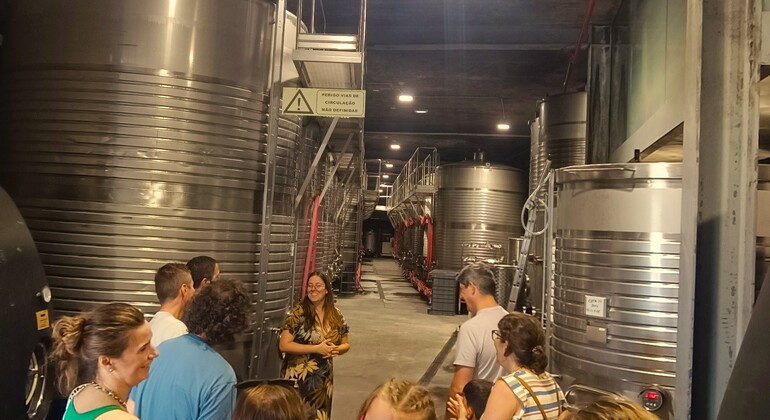 Rota do vinho verde - Tour Privado com Visita a Duas Adegas e Almoço Portugal — #8