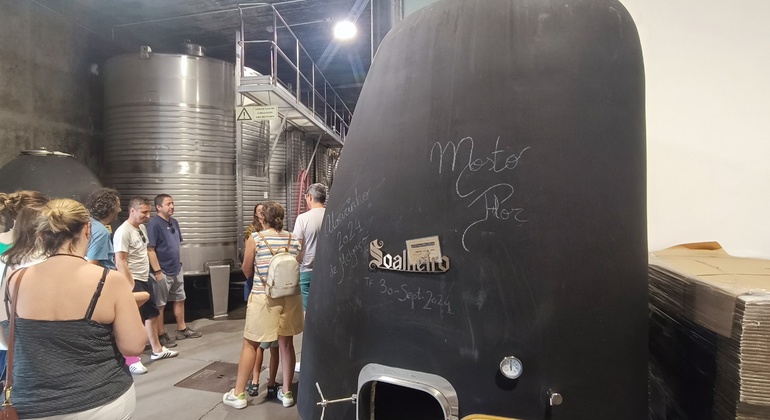 Rota do vinho verde - Tour Privado com Visita a Duas Adegas e Almoço Portugal — #9