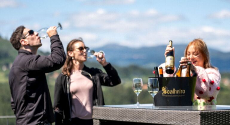 Rota do vinho verde - Tour Privado com Visita a Duas Adegas e Almoço Portugal — #22