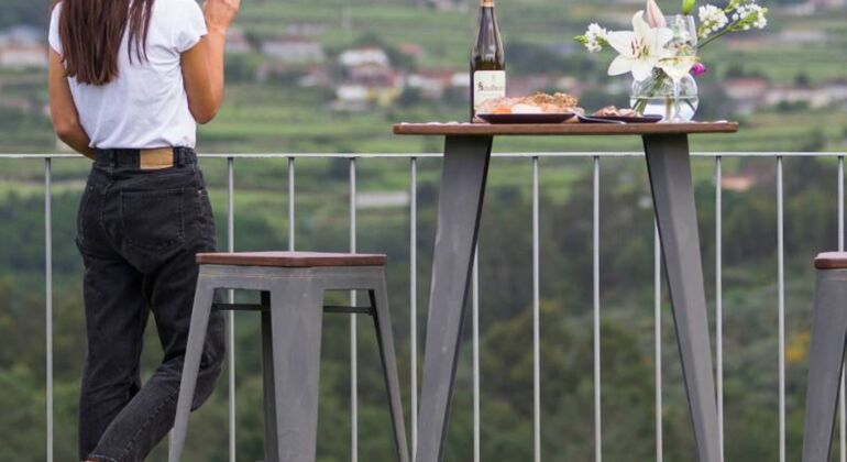 Rota do vinho verde - Tour Privado com Visita a Duas Adegas e Almoço Portugal — #23