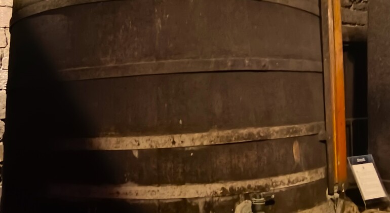 Rota do vinho verde - Tour Privado com Visita a Duas Adegas e Almoço Portugal — #24