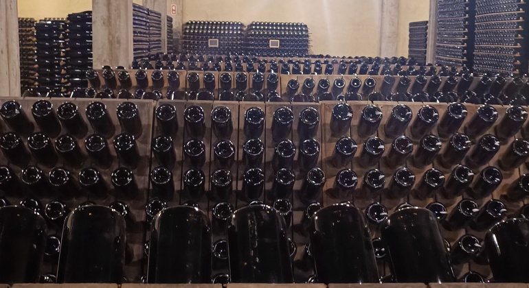 Tour Privado na Bairrada com visita a Duas Adegas com Degustações Organizado por Charming Tours