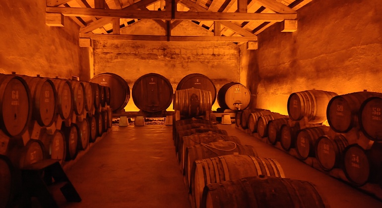 Private Tour durch Bairrada mit Besuch von zwei Weingütern mit Verkostung Portugal — #2