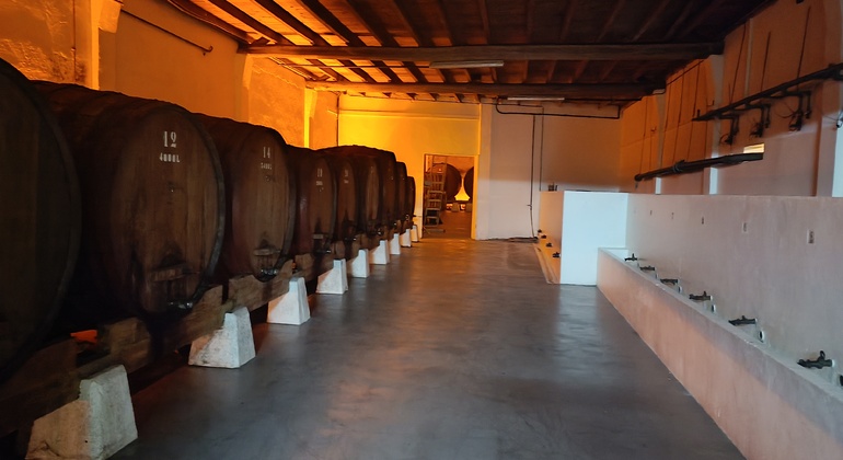 Private Tour durch Bairrada mit Besuch von zwei Weingütern mit Verkostung Portugal — #3