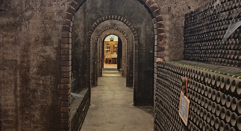 Private Tour durch Bairrada mit Besuch von zwei Weingütern mit Verkostung Portugal — #4