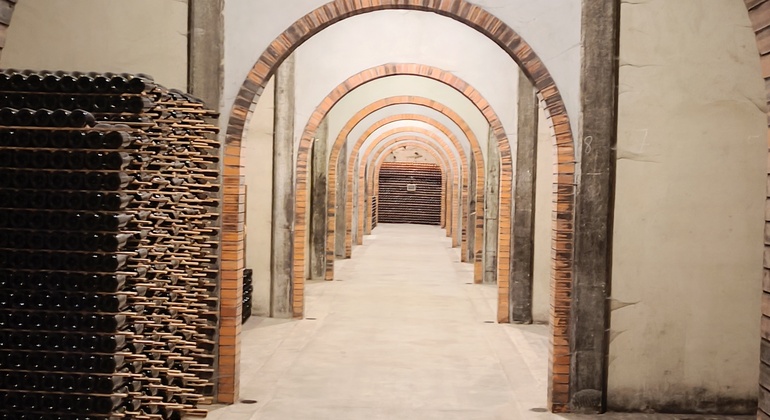 Private Tour durch Bairrada mit Besuch von zwei Weingütern mit Verkostung Portugal — #5