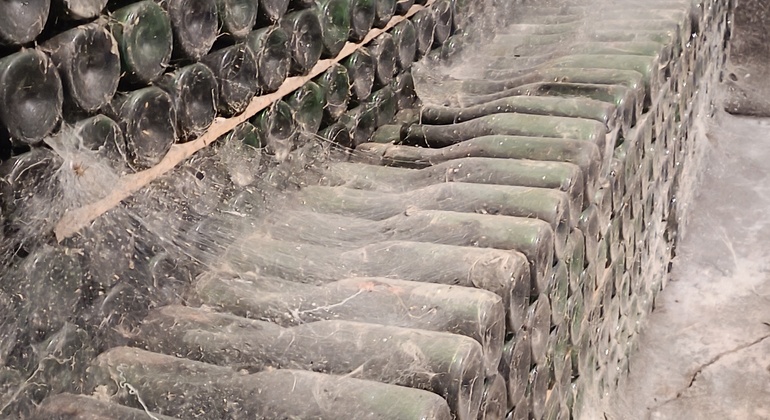 Private Tour durch Bairrada mit Besuch von zwei Weingütern mit Verkostung Portugal — #6