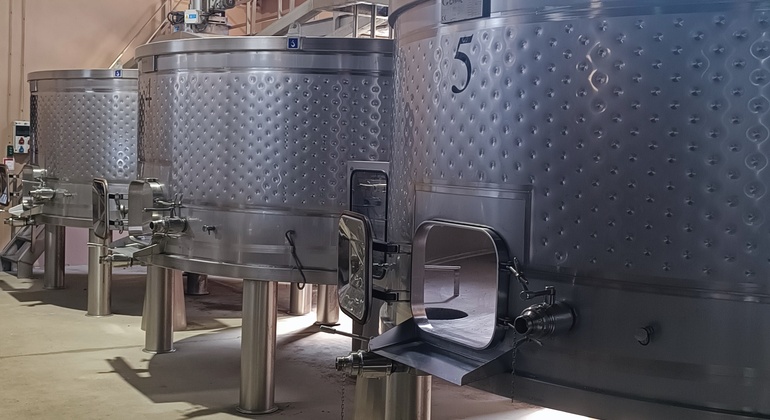 Private Tour durch Bairrada mit Besuch von zwei Weingütern mit Verkostung Portugal — #9