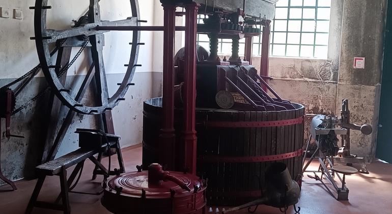 Private Tour durch Bairrada mit Besuch von zwei Weingütern mit Verkostung Portugal — #11