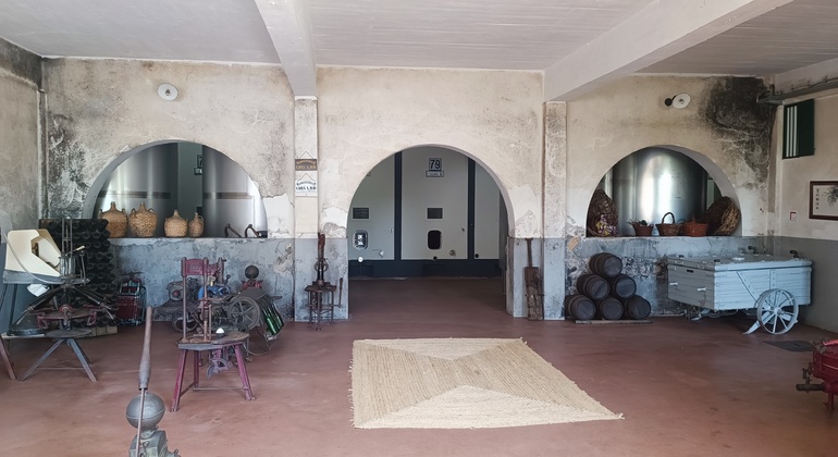 Private Tour durch Bairrada mit Besuch von zwei Weingütern mit Verkostung Portugal — #12