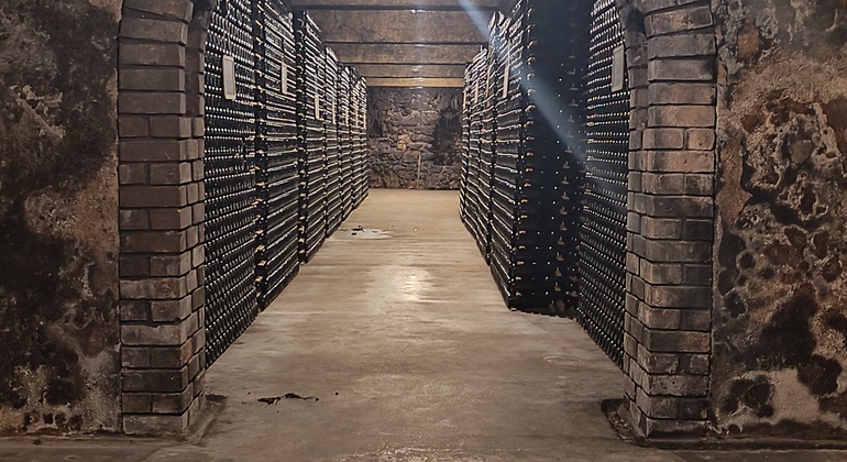 Private Tour durch Bairrada mit Besuch von zwei Weingütern mit Verkostung Portugal — #14