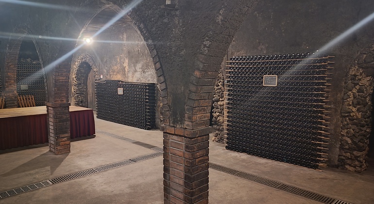 Private Tour durch Bairrada mit Besuch von zwei Weingütern mit Verkostung Portugal — #17