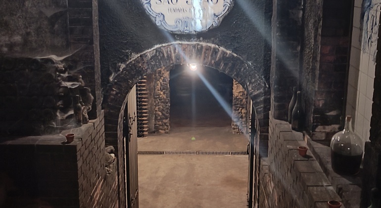 Private Tour durch Bairrada mit Besuch von zwei Weingütern mit Verkostung Portugal — #18