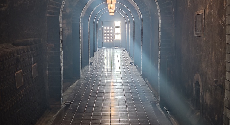 Private Tour durch Bairrada mit Besuch von zwei Weingütern mit Verkostung Portugal — #19