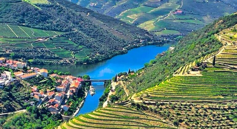Private Tour durch das Douro-Tal mit Mittagessen, zwei Weinkellereien und Kreuzfahrt Portugal — #6