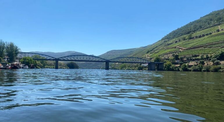 Private Tour durch das Douro-Tal mit Mittagessen, zwei Weinkellereien und Kreuzfahrt Portugal — #7