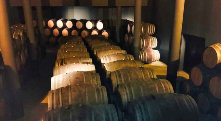 Private Tour durch das Douro-Tal mit Mittagessen, zwei Weinkellereien und Kreuzfahrt Portugal — #8