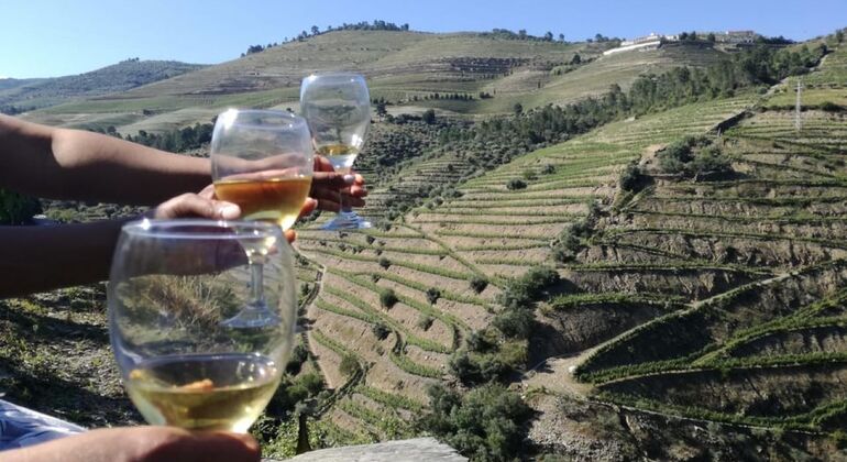 Private Tour durch das Douro-Tal mit Mittagessen, zwei Weinkellereien und Kreuzfahrt Portugal — #10