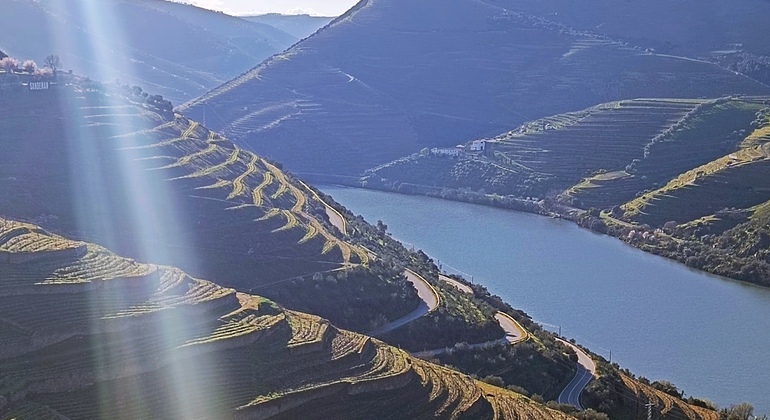 Private Tour durch das Douro-Tal mit Mittagessen, zwei Weinkellereien und Kreuzfahrt Portugal — #11