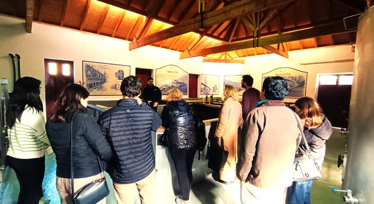 Private Tour durch das Douro-Tal mit Mittagessen, zwei Weinkellereien und Kreuzfahrt Portugal — #12