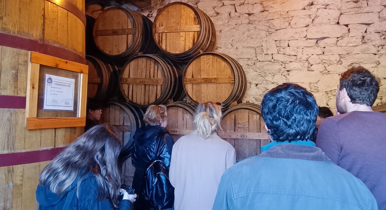 Private Tour durch das Douro-Tal mit Mittagessen, zwei Weinkellereien und Kreuzfahrt Portugal — #13