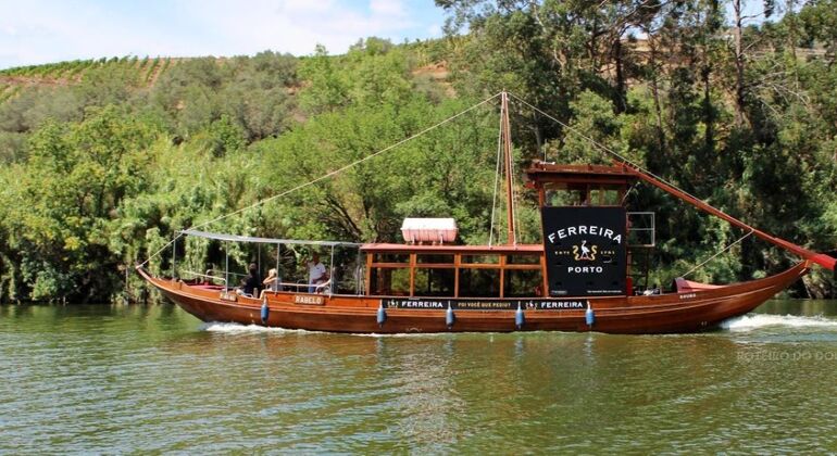 Private Tour durch das Douro-Tal mit Mittagessen, zwei Weinkellereien und Kreuzfahrt Portugal — #14