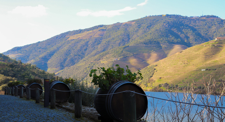 Private Tour durch das Douro-Tal mit Mittagessen, zwei Weinkellereien und Kreuzfahrt Portugal — #16